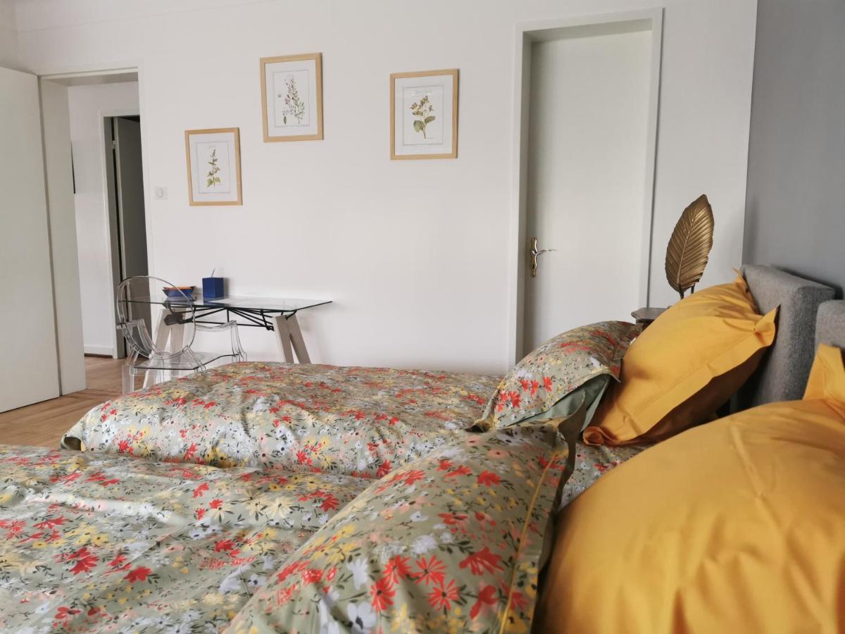 La Maison De Lucie - Grande Maison Ideale En Famille Ou Entre Amis - Jardin - Parking Gratuit Sélestat Kültér fotó