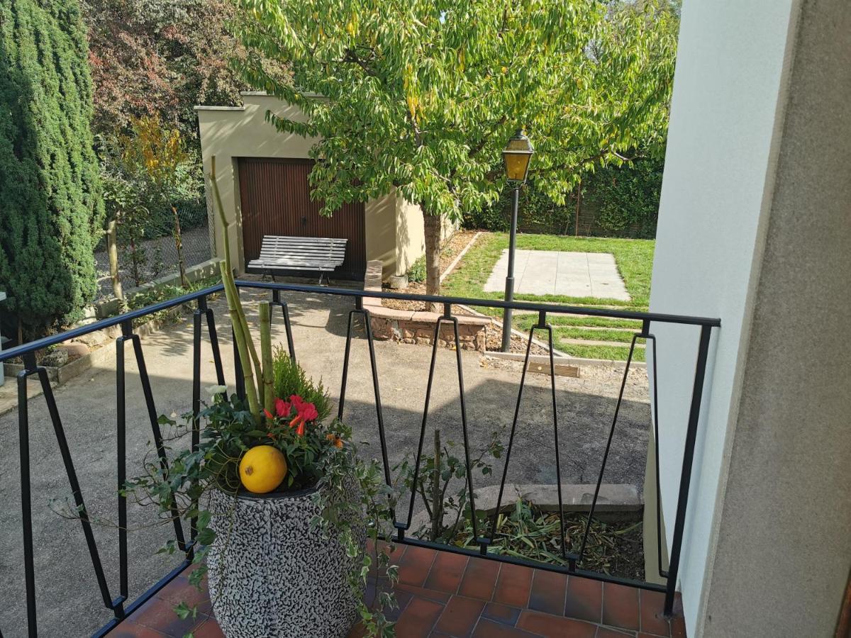 La Maison De Lucie - Grande Maison Ideale En Famille Ou Entre Amis - Jardin - Parking Gratuit Sélestat Kültér fotó